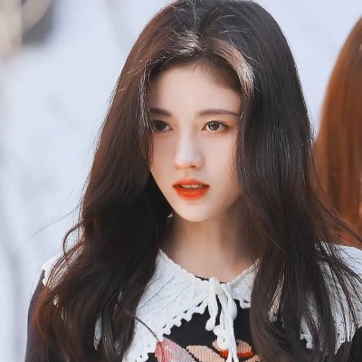 送赞雪橇犬