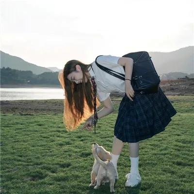 野良与皇女与流浪猫之心
